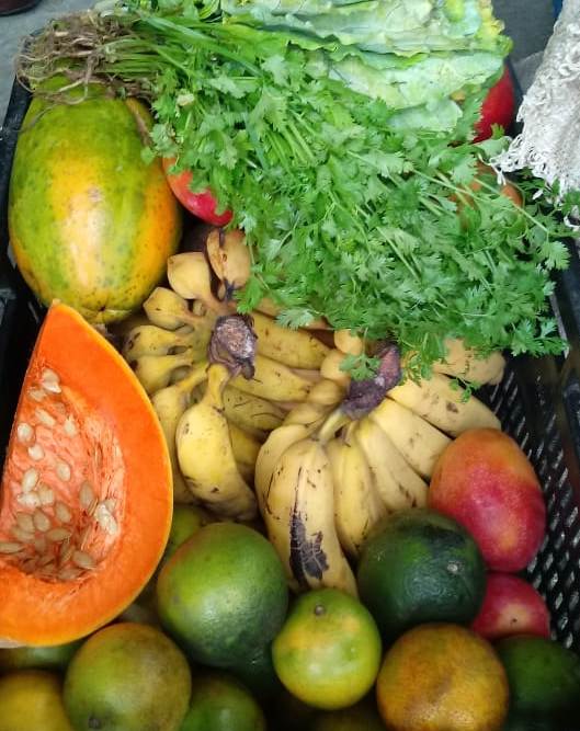 Entrega de Alimentos do Programa de Aquisição de Alimentos (PAA) acontecerá nesta sexta-feira (24)