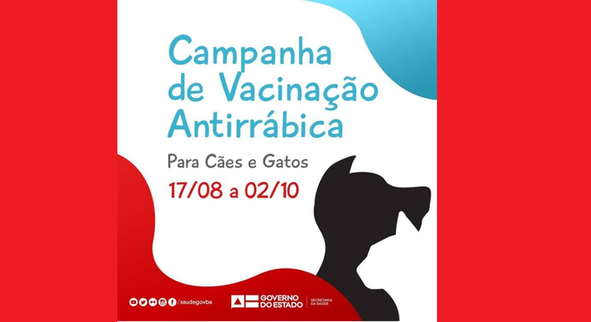 Proteja seus cães e gatos: São Francisco do Conde realiza Campanha de Vacinação contra a raiva animal por bairro