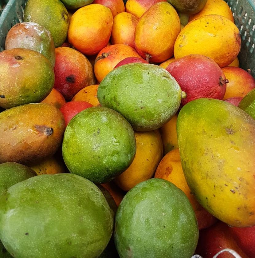 PAA auxilia no escoamento da produção de agricultores familiares e na oferta de alimentos a pessoas em situação de vulnerabilidade