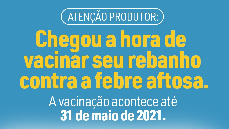Atenção Produtor: Chegou a hora de vacinar seu rebanho contra a febre aftosa