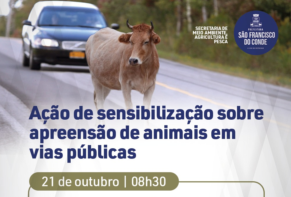 São Francisco do Conde promove ação de sensibilização sobre apreensão de animais em vias públicas