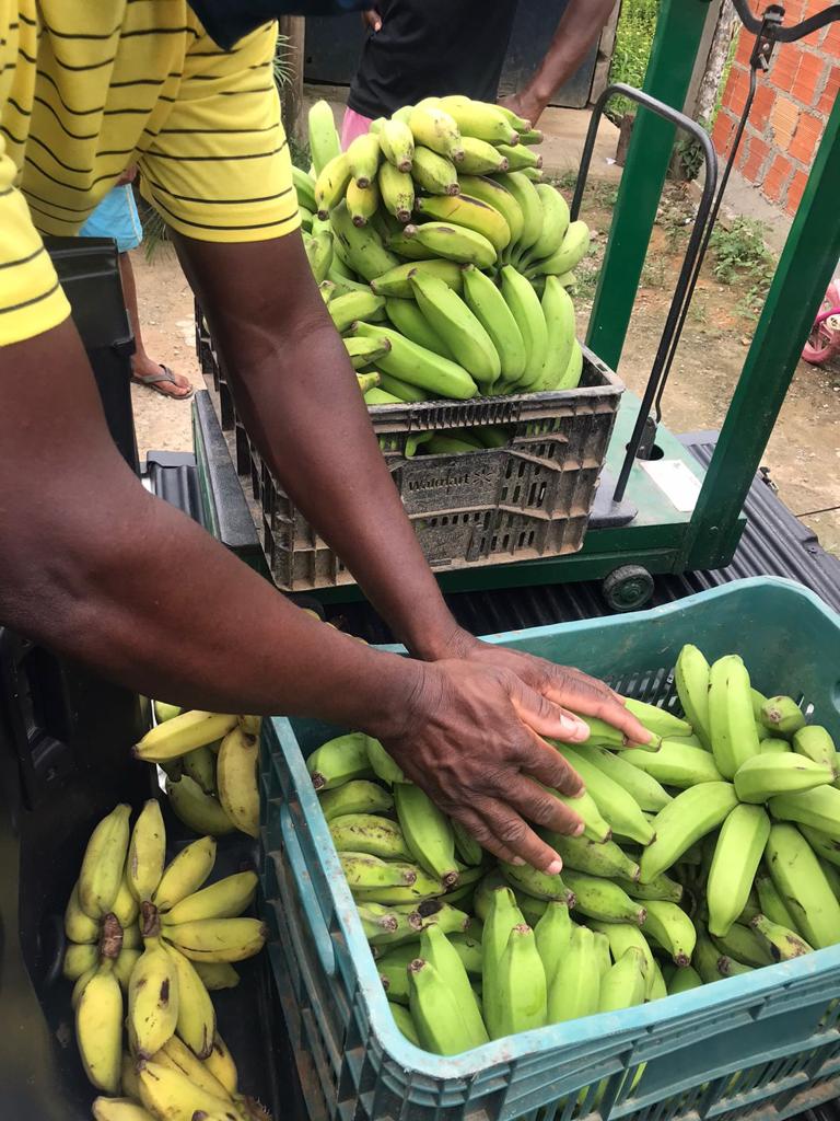 SEMAP adquiriu mais de 20 toneladas de produtos agrícolas, através do Programa de Aquisição de Alimentos (PAA)