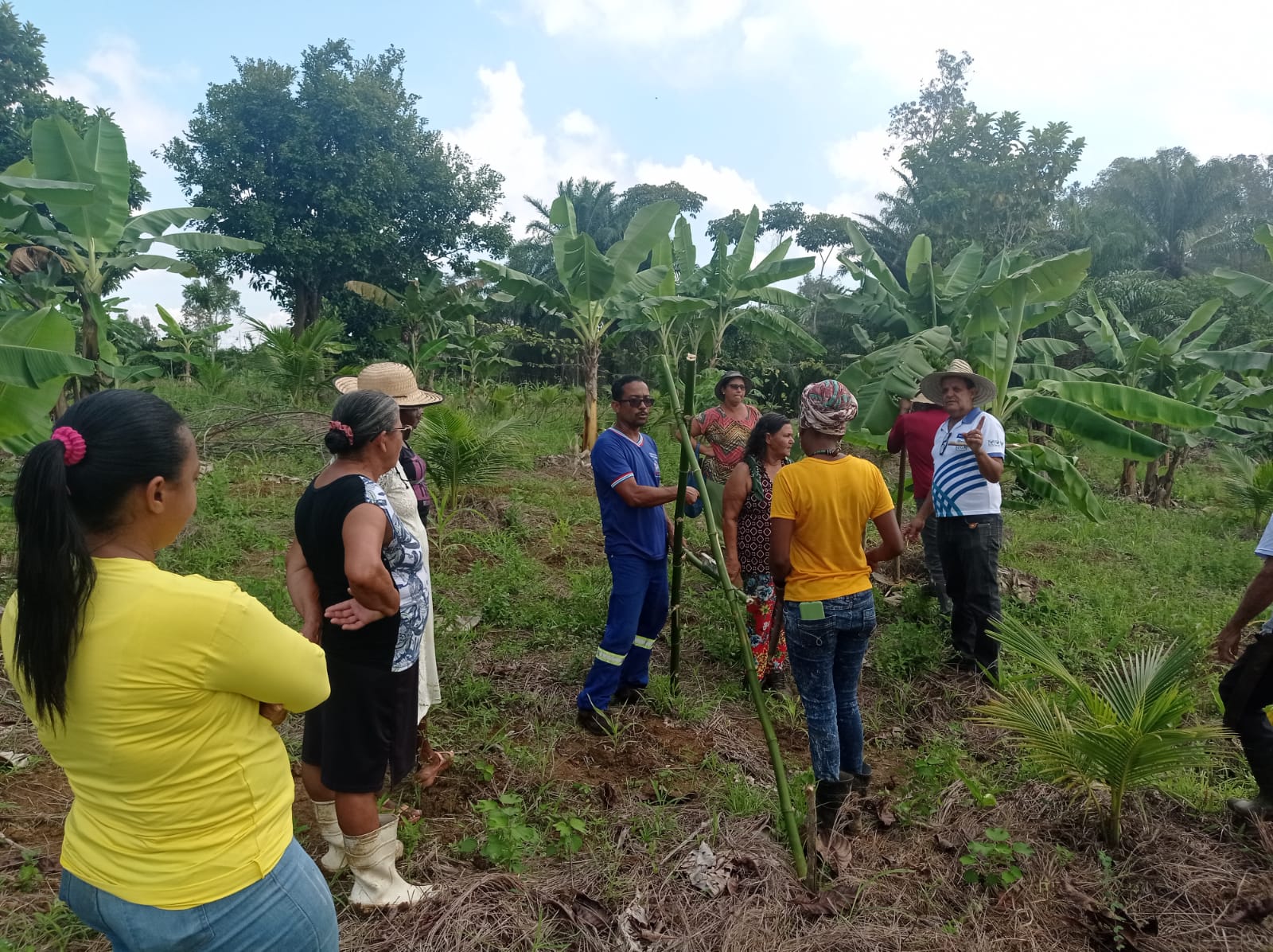 A Prefeitura, por meio da SEMAP, realizou o curso sobre o cultivo de maracujá