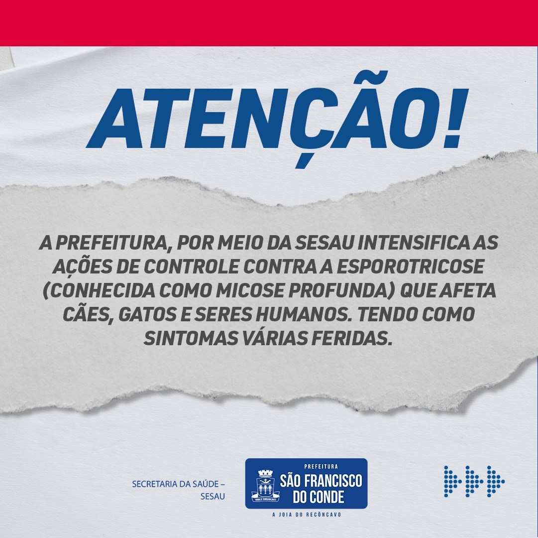 SESAU intensiva ações de controle contra a esporotricose