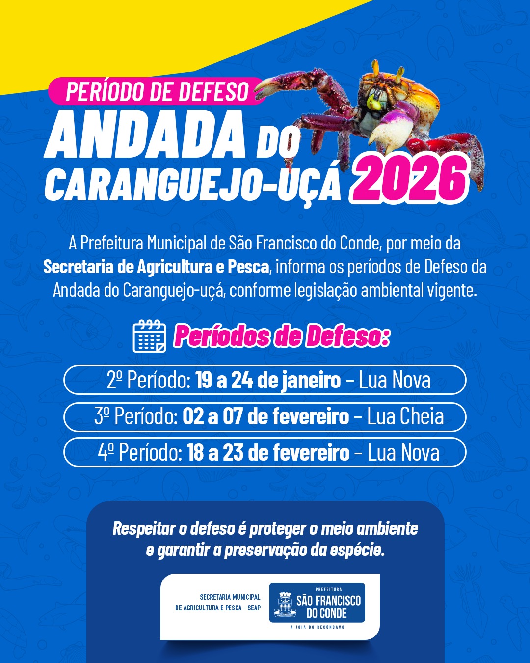 Prefeitura divulga períodos de defeso da andada do caranguejo-uçá em 2026