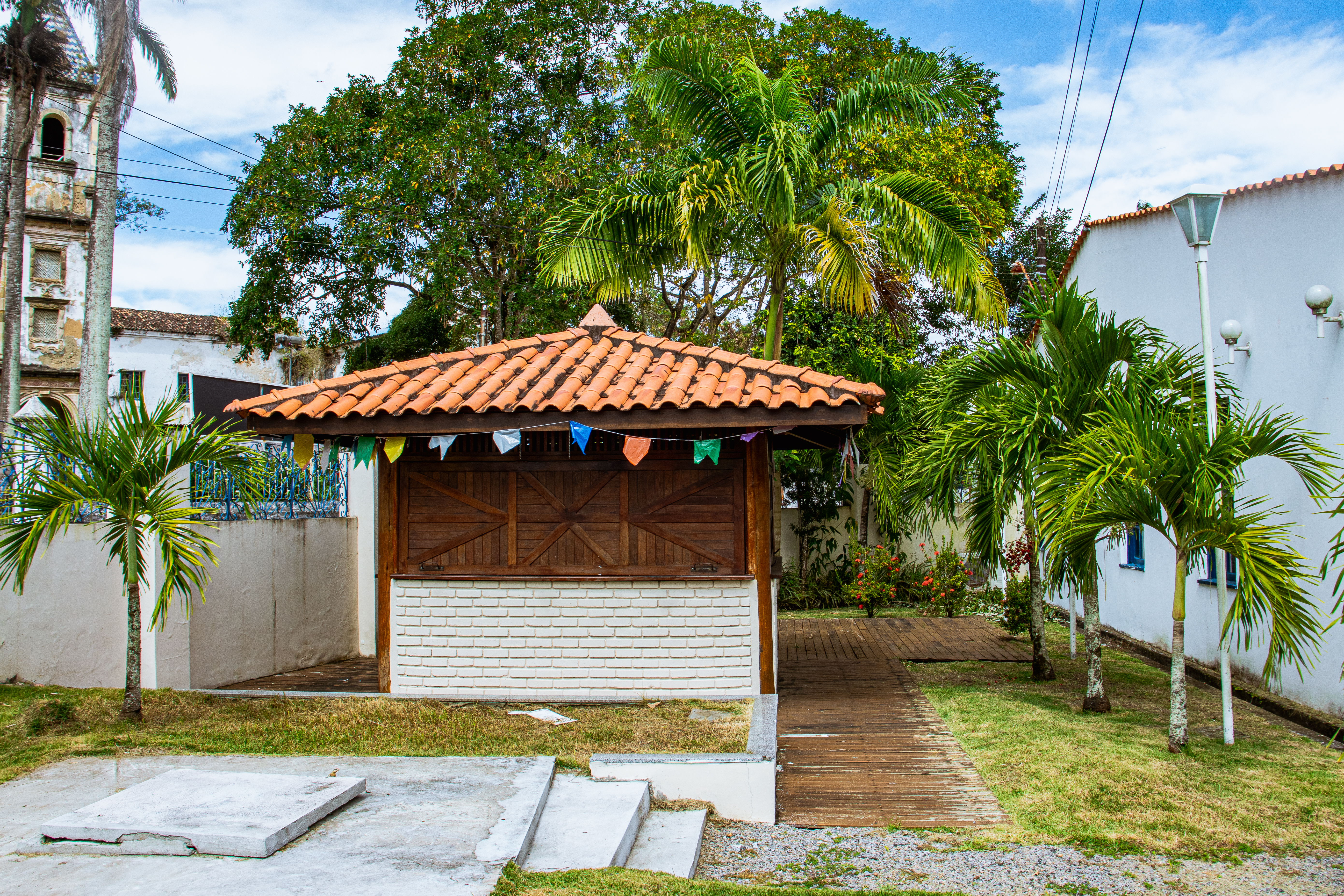 Imagem 21