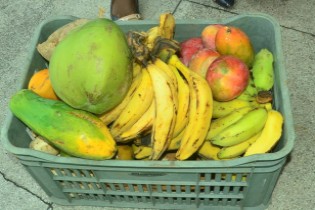 Prefeitura entrega alimentos adquiridos pelo Programa de aquisição de Alimentos (PAA)