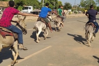 Corrida de Jegue de Jabequara da Areia acontecerá no dia 09 de fevereiro