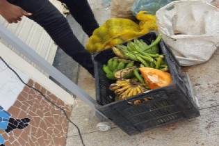 Programa de Aquisição de Alimentos ajuda a reduzir impactos da pandemia de Covid-19