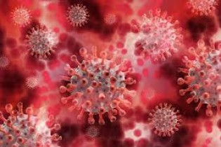 Socorro, Jabequara e Centro vão receber ações de combate e controle à COVID-19, dengue, zika e chikungunya