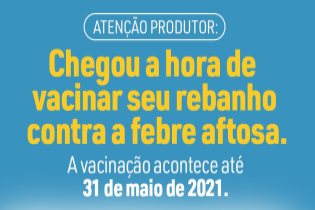 Atenção Produtor: Chegou a hora de vacinar seu rebanho contra a febre aftosa