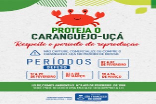 Caranguejo-Uçá: Respeite o período de reprodução -  17 a 22 de fevereiro