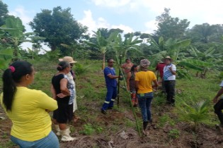 A Prefeitura, por meio da SEMAP, realizou o curso sobre o cultivo de maracujá