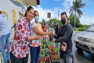 A Prefeitura, por meio da SEMAP, realizou a entrega de 400 unidades de mudas