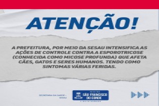 SESAU intensiva ações de controle contra a esporotricose