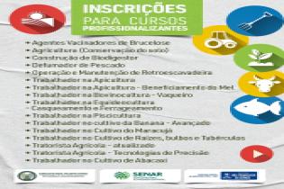 Secretaria de Agricultura e Pesca oferece cursos profissionalizantes gratuitos