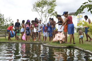SEDES, por meio do CRASF, promove passeio ao Sítio Peguaris em celebração ao Dia do Autismo